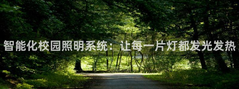 智能化校园照明系统：让每一片灯都发光发热