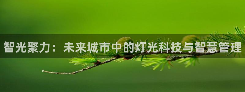 智光聚力：未来城市中的灯光科技与智慧管理