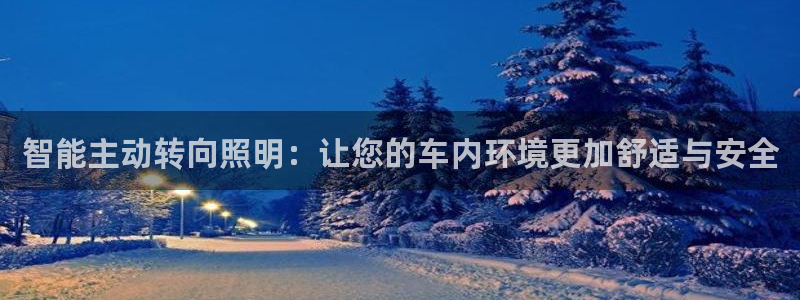 智能主动转向照明：让您的车内环境更加舒适与安全