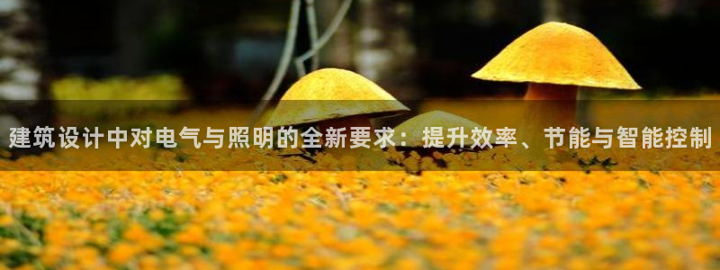 建筑设计中对电气与照明的全新要求:提升效率、节能与智能控制