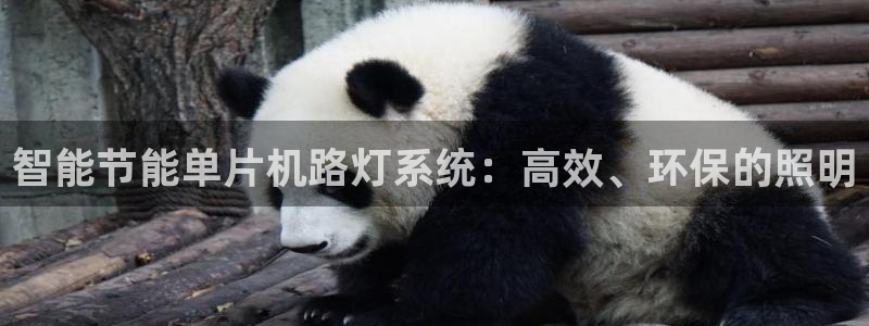 智能节能单片机路灯系统:高效、环保的照明