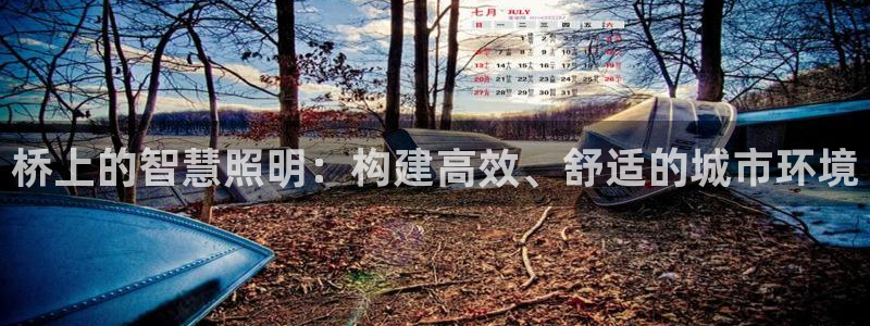 桥上的智慧照明：构建高效、舒适的城市环境