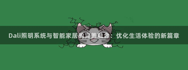 Dali照明系统与智能家居的完美融合：优化生活体验的新篇章