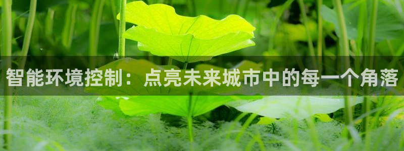 智能环境控制：点亮未来城市中的每一个角落
