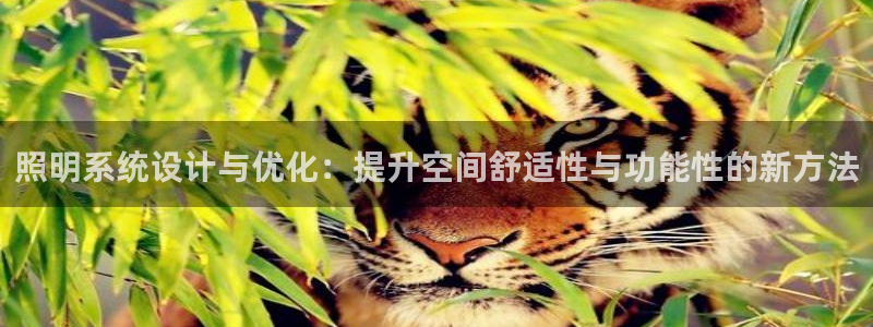 照明系统设计与优化:提升空间舒适性与功能性的新方法