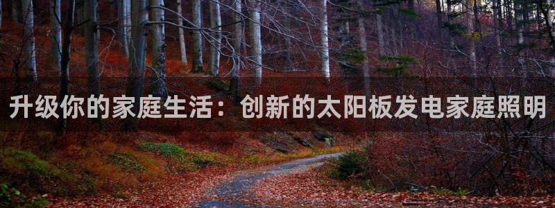 升级你的家庭生活：创新的太阳板发电家庭照