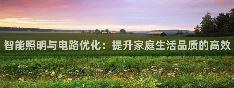 智能照明与电路优化：提升家庭生活品质的高效