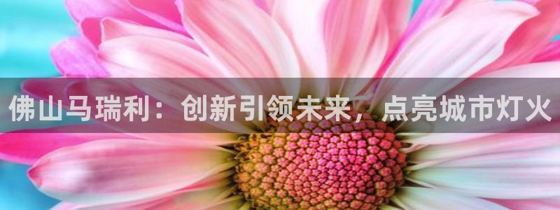 佛山马瑞利:创新引领未来,点亮城市灯火
