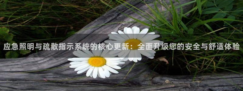 应急照明与疏散指示系统的核心更新:全面升级您的安全与舒适体验
