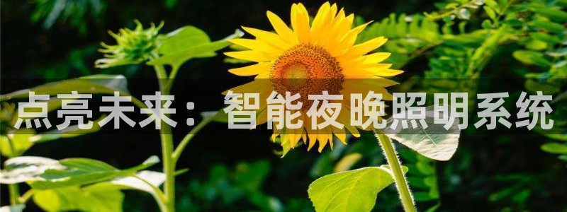 点亮未来：智能夜晚照明系统