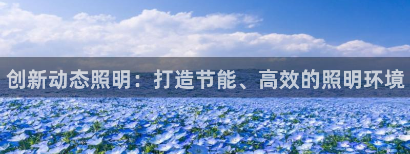 创新动态照明：打造节能、高效的照明环境