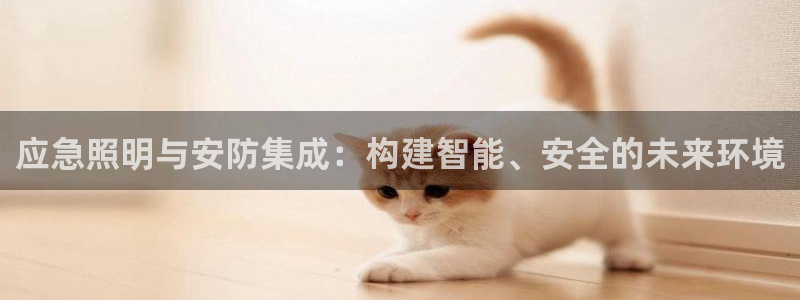 应急照明与安防集成:构建智能、安全的未来环境
