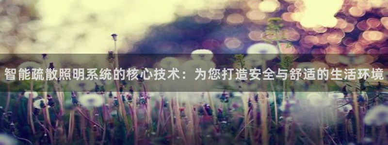 智能疏散照明系统的核心技术：为您打造安全与舒适的生活环境