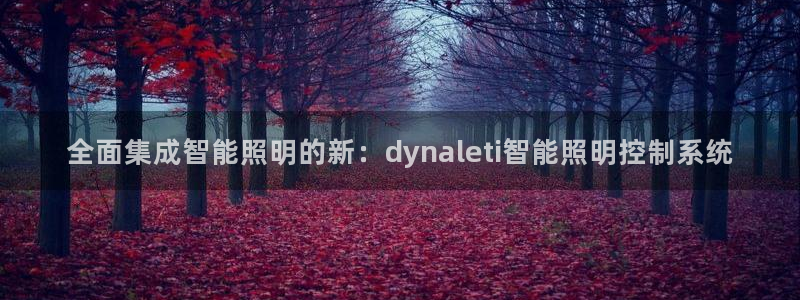 全面集成智能照明的新：dynaleti智