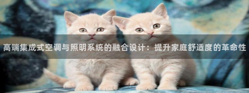 高端集成式空调与照明系统的融合设计：提升