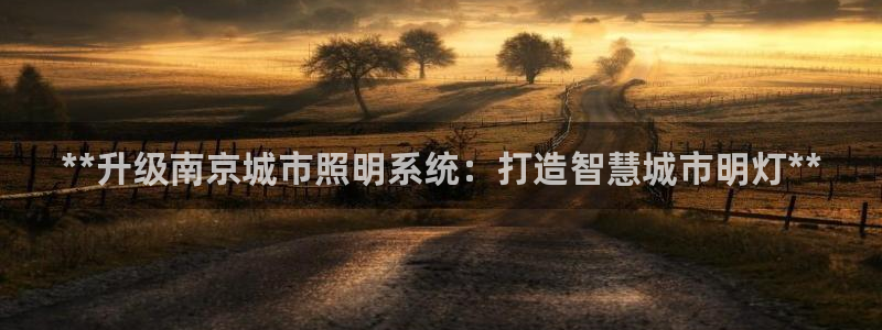 **升级南京城市照明系统：打造智慧城市明