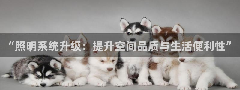 “照明系统升级：提升空间品质与生活便利性