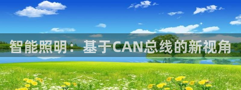 智能照明：基于CAN总线的新视角
