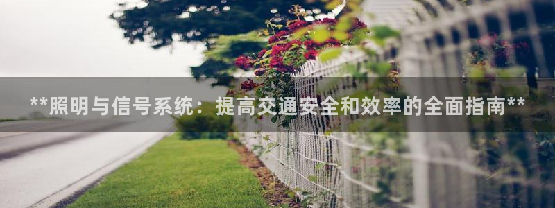**照明与信号系统：提高交通安全和效率的