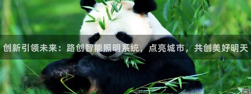创新引领未来:路创智能照明系统,点亮城市,共创美好明天