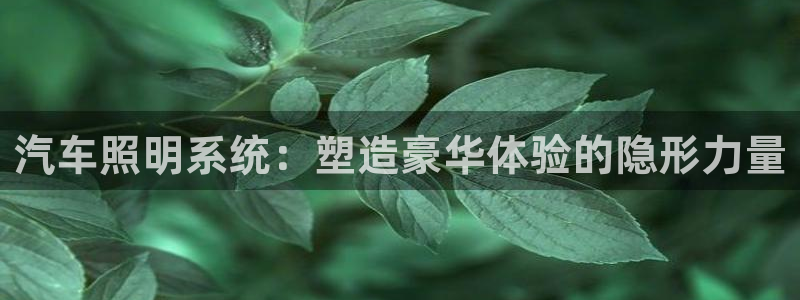 汽车照明系统:塑造豪华体验的隐形力量