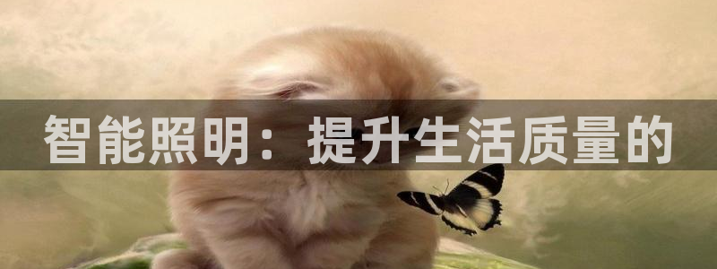 智能照明：提升生活质量的