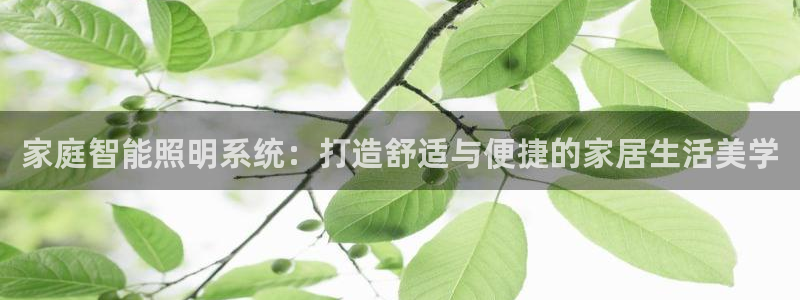 家庭智能照明系统：打造舒适与便捷的家居生活美学