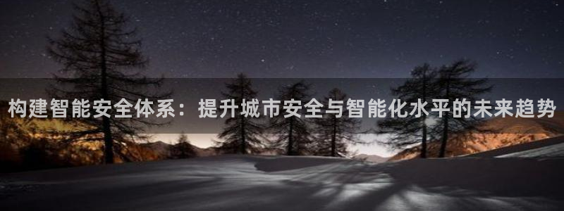 构建智能安全体系：提升城市安全与智能化水平的未来趋势