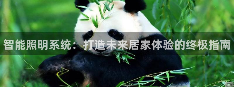 智能照明系统：打造未来居家体验的终极指南