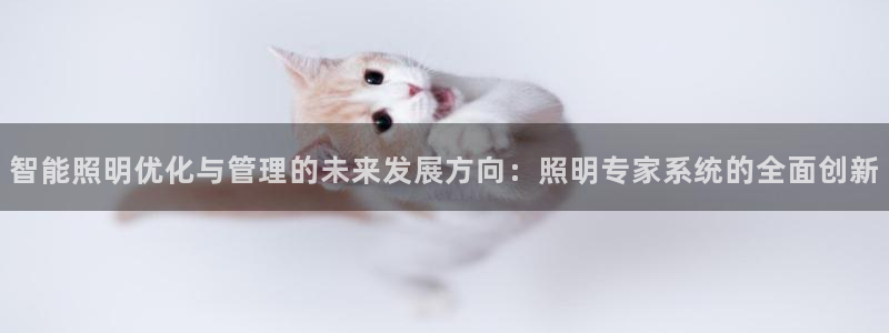 智能照明优化与管理的未来发展方向：照明专家系统的全面创新