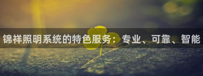 锦祥照明系统的特色服务：专业、可靠、智能