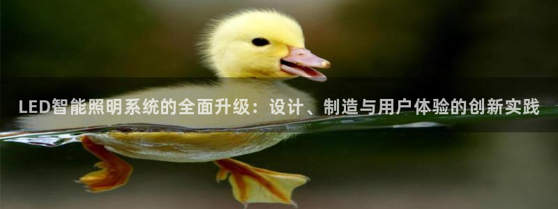 LED智能照明系统的全面升级：设计、制造与用户体验的创新实践