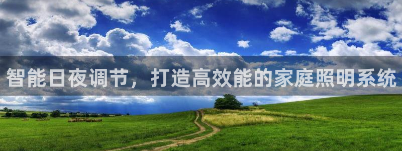 智能日夜调节，打造高效能的家庭照明系统