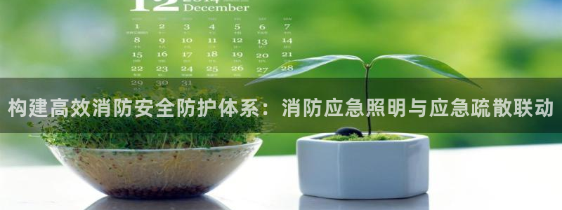 构建高效消防安全防护体系：消防应急照明与应急疏散联动