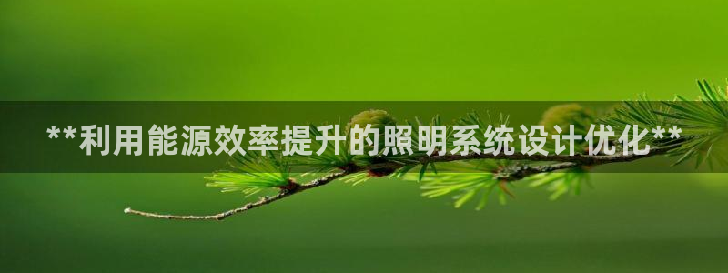 **利用能源效率提升的照明系统设计优化**