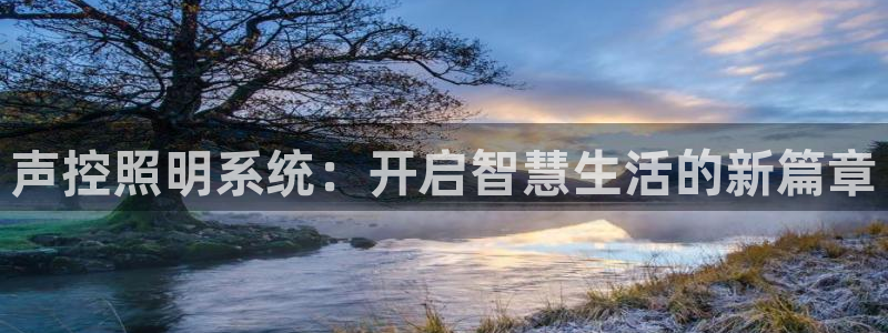 声控照明系统：开启智慧生活的新篇章