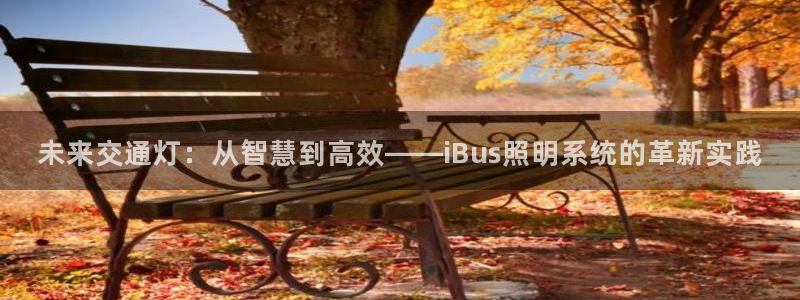 未来交通灯：从智慧到高效——iBus照明