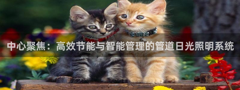 中心聚焦：高效节能与智能管理的管道日光照明系统