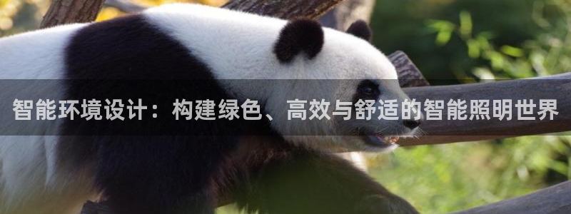 智能环境设计：构建绿色、高效与舒适的智能照明世界