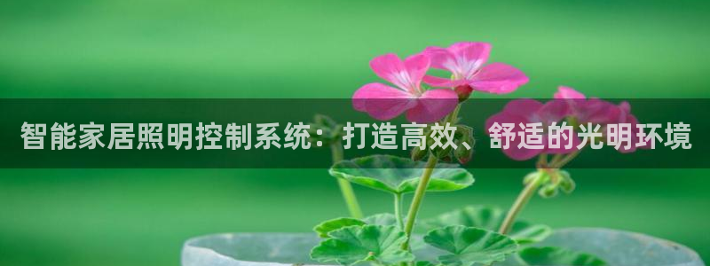 智能家居照明控制系统：打造高效、舒适的光