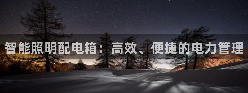 智能照明配电箱：高效、便捷的电力管理
