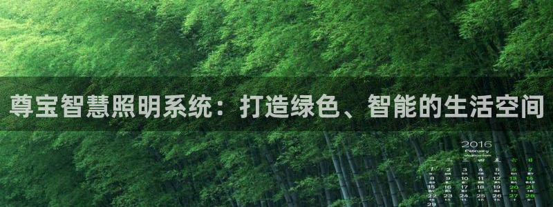 尊宝智慧照明系统：打造绿色、智能的生活空间
