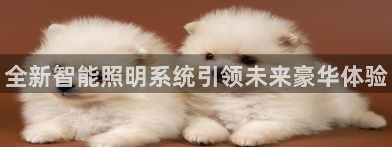 全新智能照明系统引领未来豪华体验