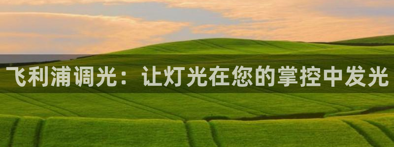 飞利浦调光：让灯光在您的掌控中发光