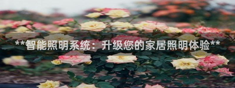 **智能照明系统：升级您的家居照明体验**