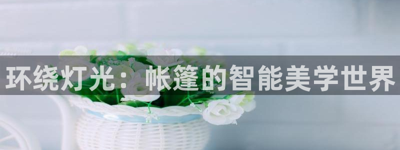 环绕灯光：帐篷的智能美学世界