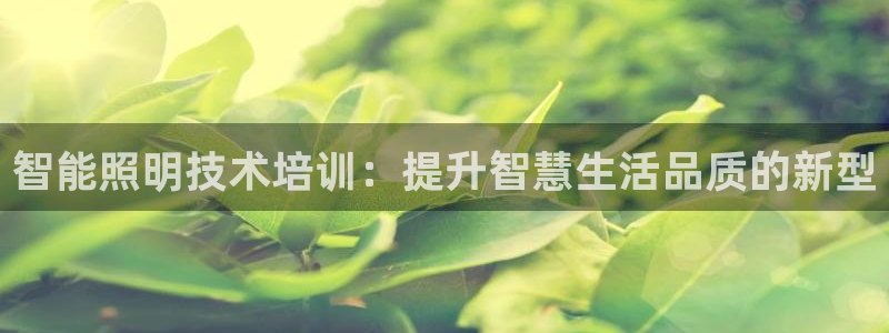 智能照明技术培训：提升智慧生活品质的新型