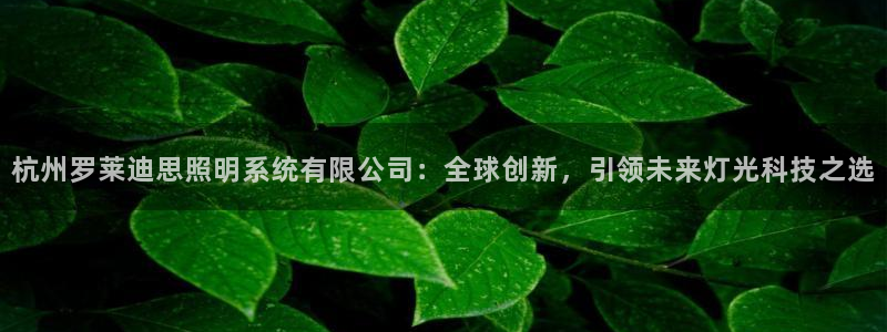 杭州罗莱迪思照明系统有限公司：全球创新，引领未来灯光科技之选