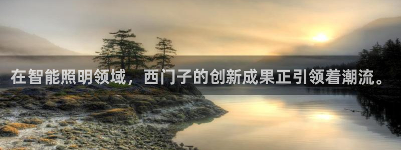 在智能照明领域，西门子的创新成果正引领着