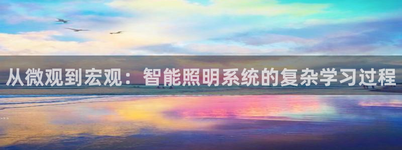 从微观到宏观：智能照明系统的复杂学习过程